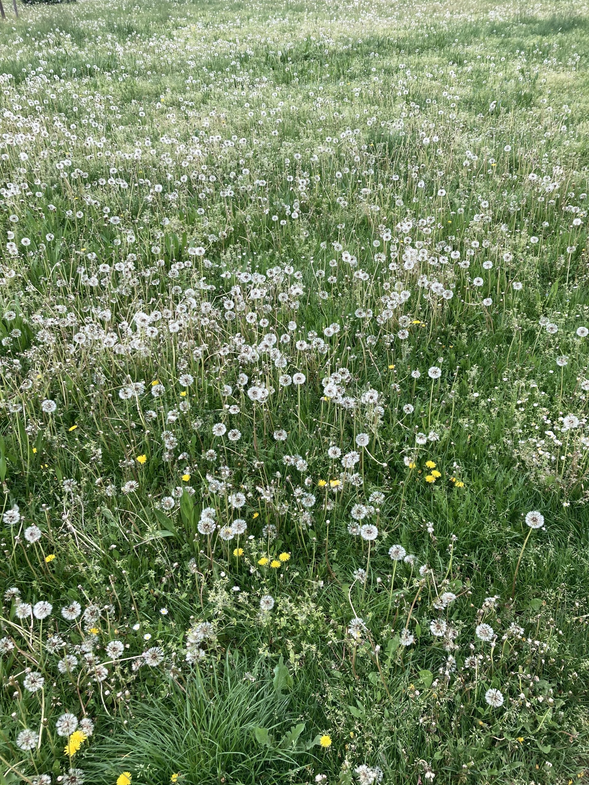 Sich Sorgen machen…